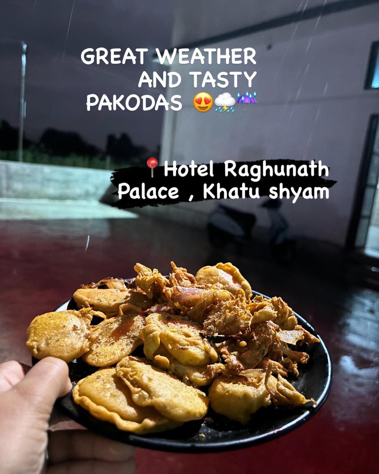 Hotel Raghunath Palace Khatu Экстерьер фото